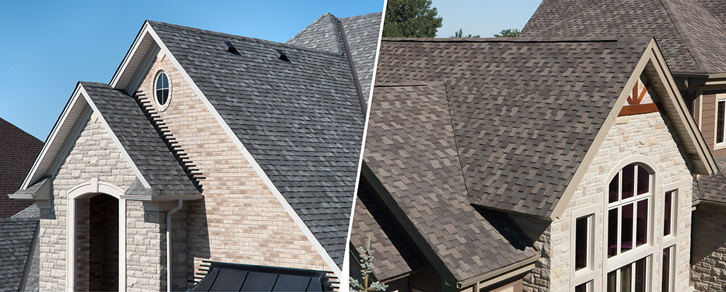 Roofing and Chimney Contractor
